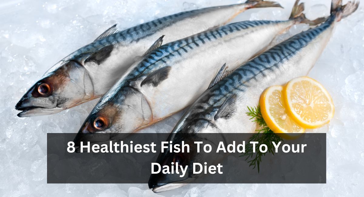 8 Healthiest Fish To Add To Your Daily Diet