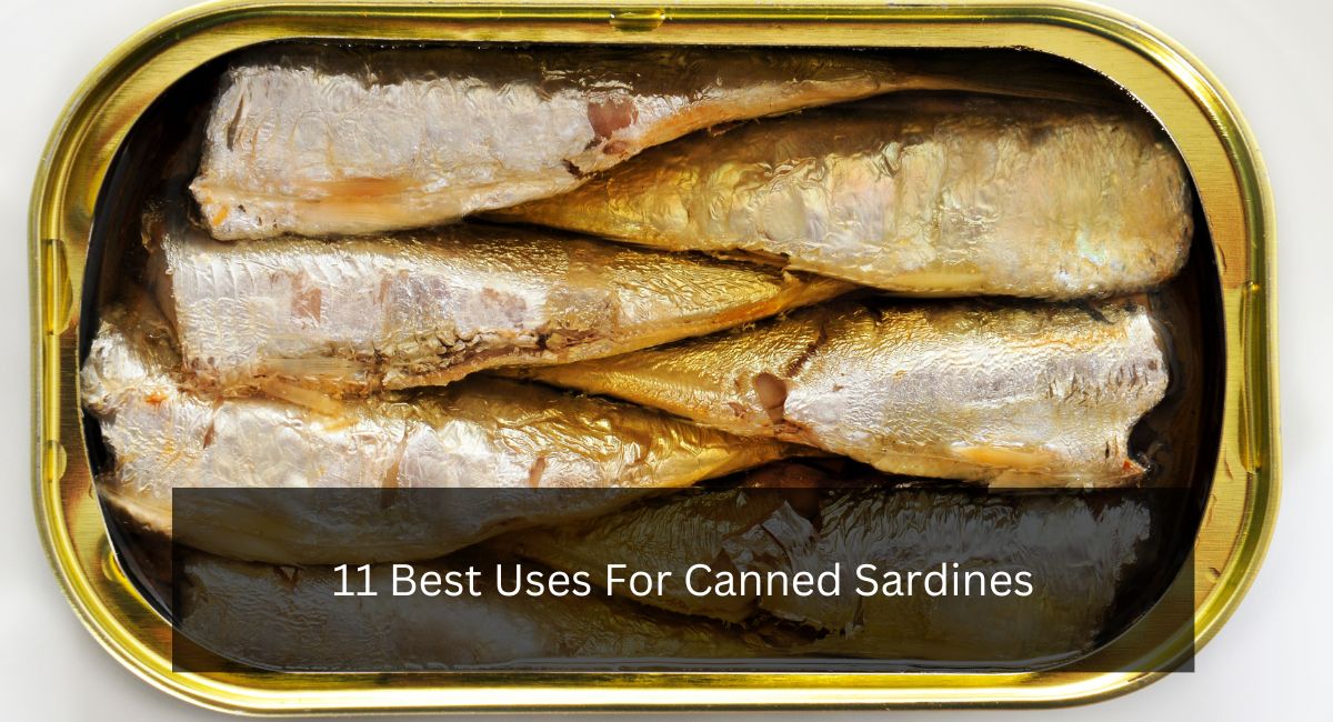 11 Best Uses For Canned Sardines